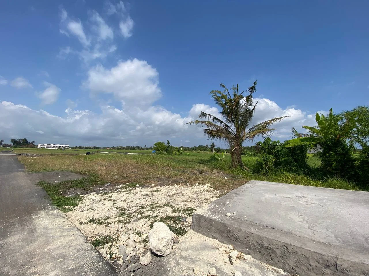 Expansive 3,500 Sqm Plot of Land in Development Area of Kedungu, Land for sale in Tabanan – photo 7 of 11