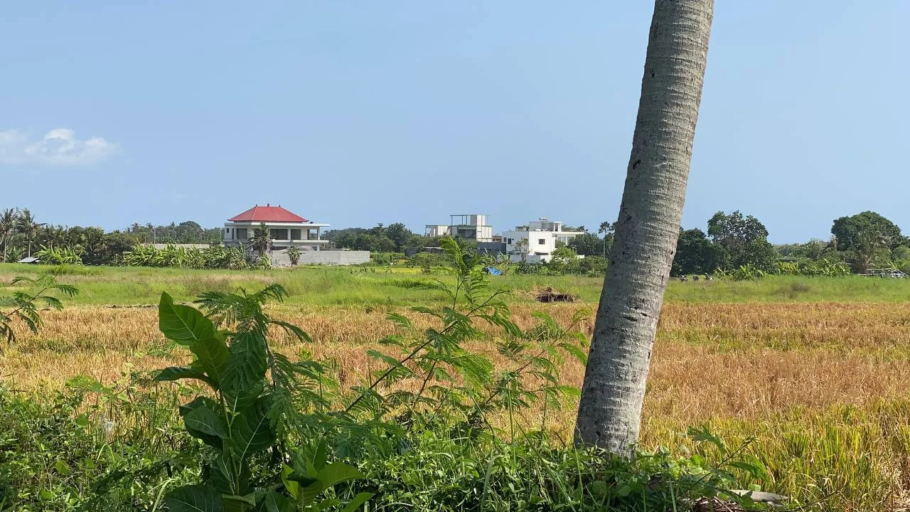 Expansive 3,500 Sqm Plot of Land in Development Area of Kedungu, Land for sale in Tabanan – photo 10 of 11