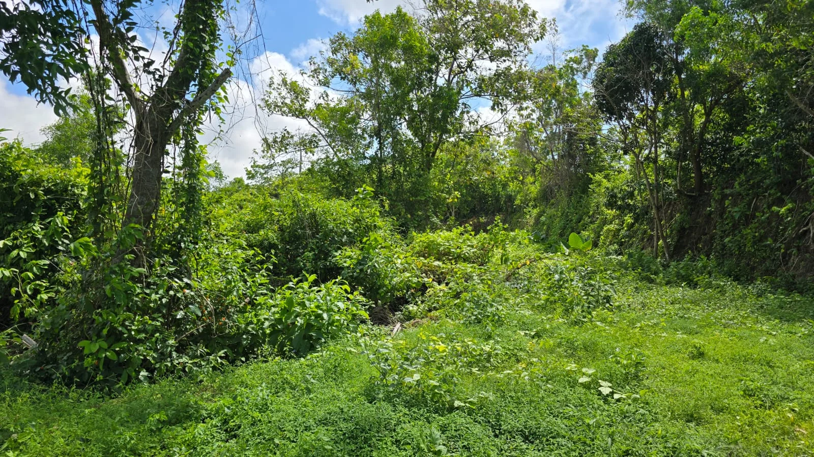 Unrivaled Investment: Turnkey Luxury Resort & Development Land in Bali’s Prime Tourism Zone (dreamland), 3-bed villa for sale in Uluwatu – photo 14 of 15