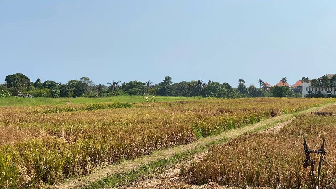 Expansive 3,500 Sqm Plot of Land in Development Area of Kedungu, Land for sale in Tabanan – photo 8 of 11