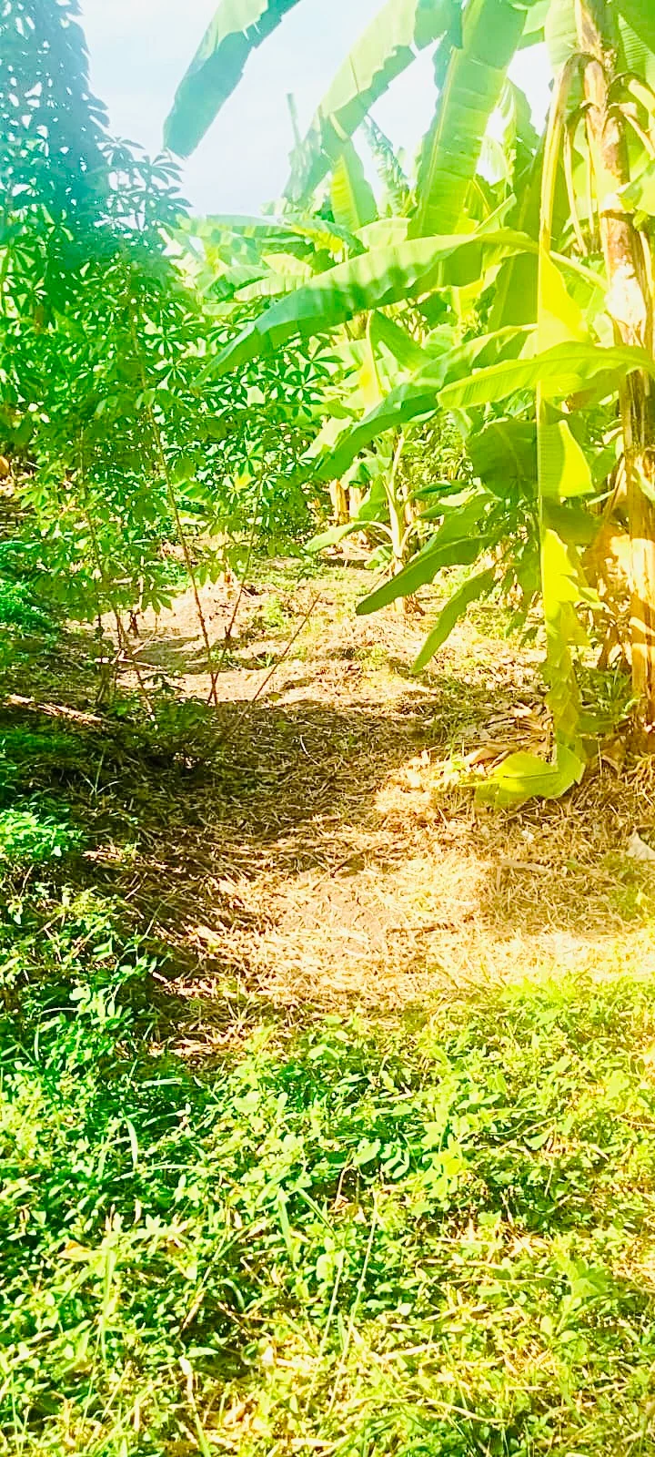 950 Sqm Land for Lease in Umalas, Land for sale in Seminyak – photo 2 of 4