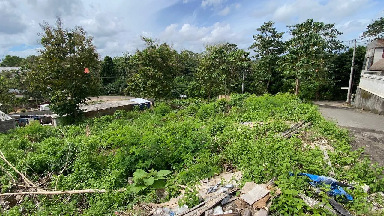 2800sqm-800sqm Land for Freehold in Bingin, Land for sale in Pecatu, Uluwatu – photo 2 of 13