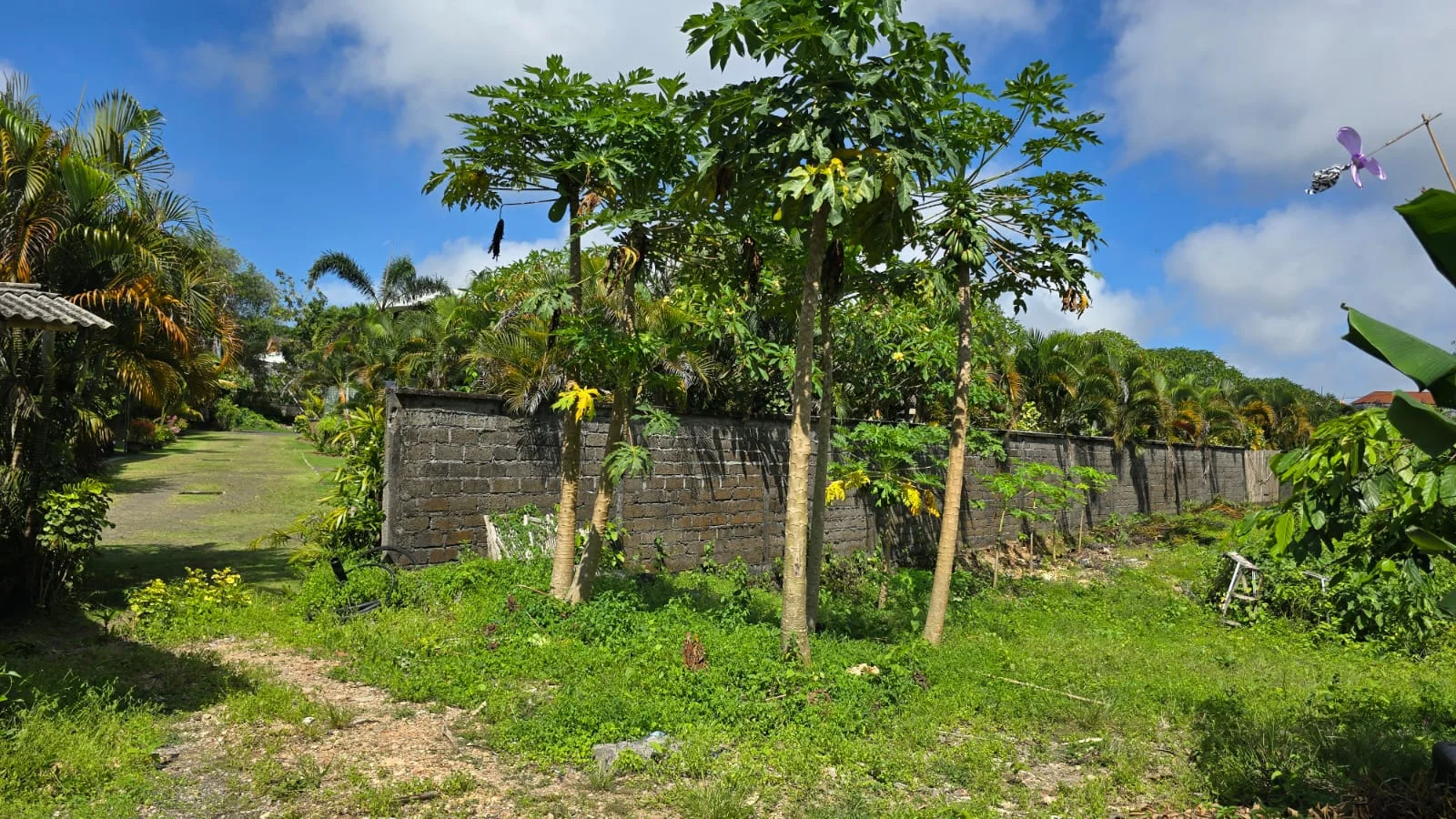 Unrivaled Investment: Turnkey Luxury Resort & Development Land in Bali’s Prime Tourism Zone (dreamland), 3-bed villa for sale in Uluwatu – photo 13 of 15