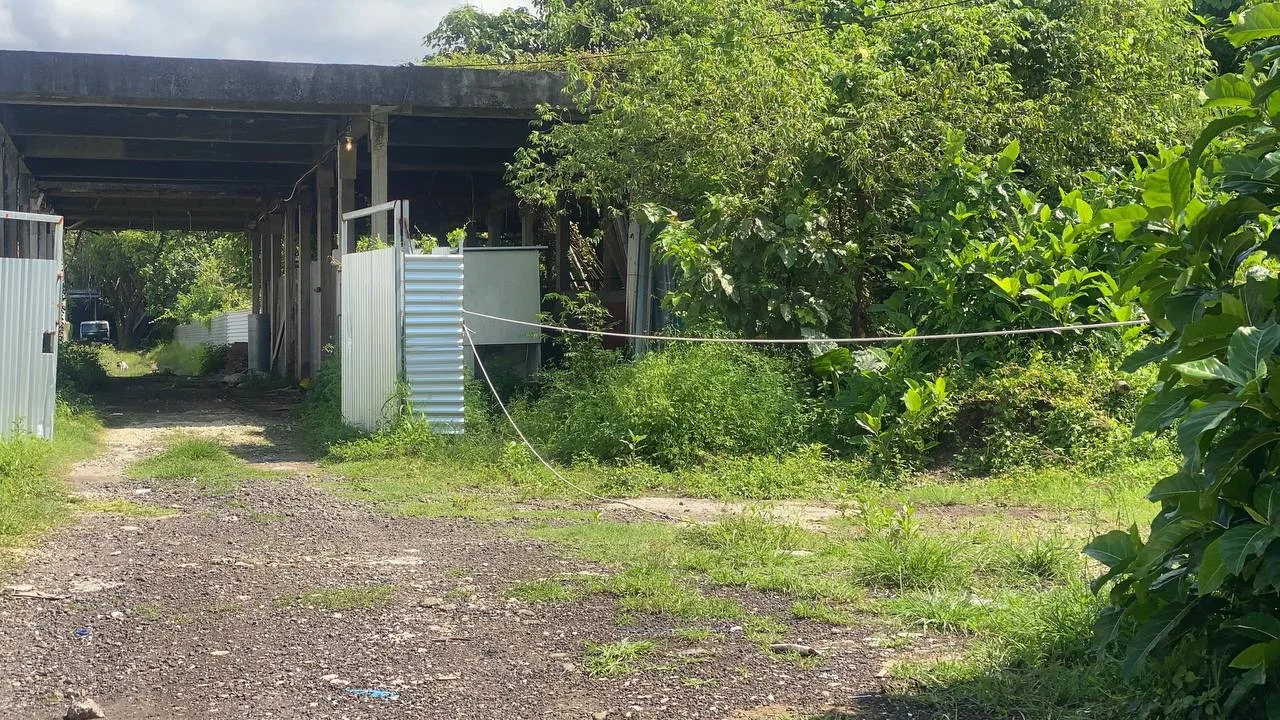 5080 Sqm Prime Land for Sale in Kerobokan, Land for sale in Seminyak – photo 11 of 11