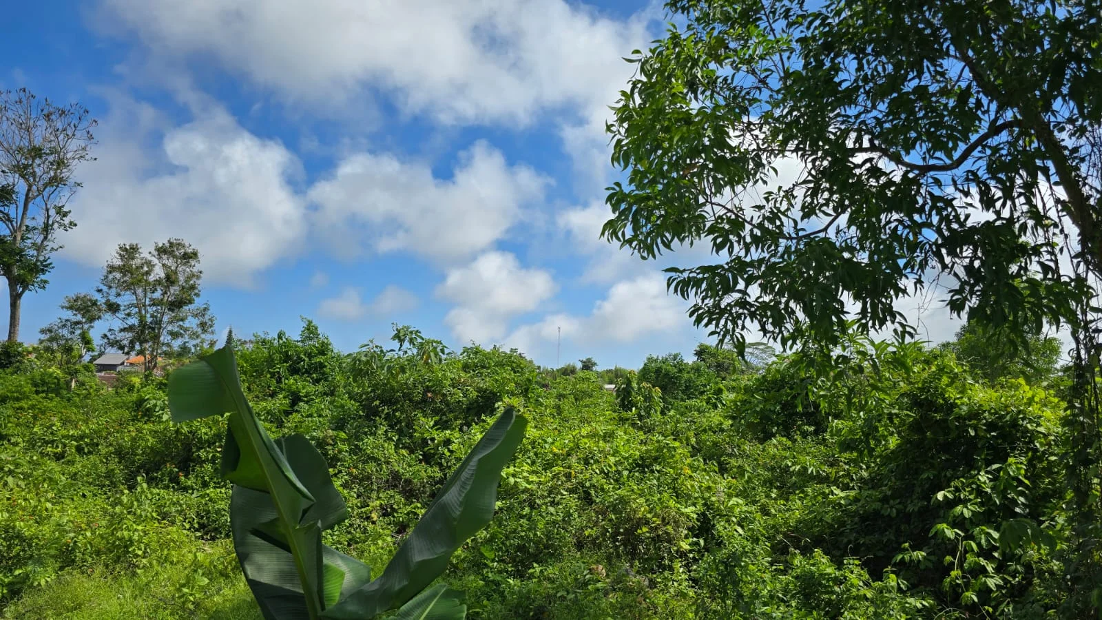Unrivaled Investment: Turnkey Luxury Resort & Development Land in Bali’s Prime Tourism Zone (dreamland), 3-bed villa for sale in Uluwatu – photo 15 of 15
