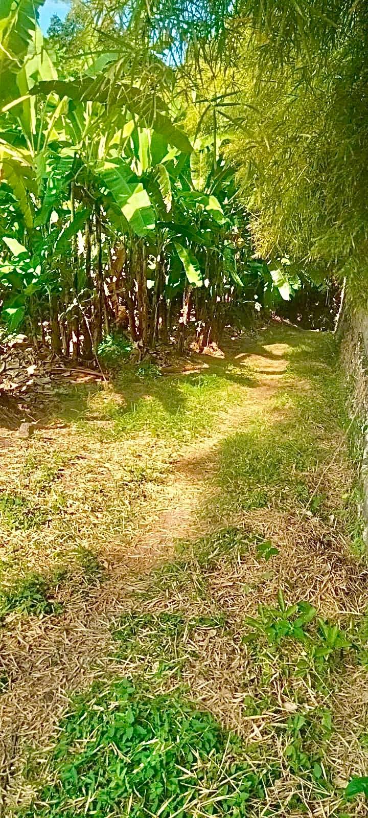 Land for sale in Seminyak
