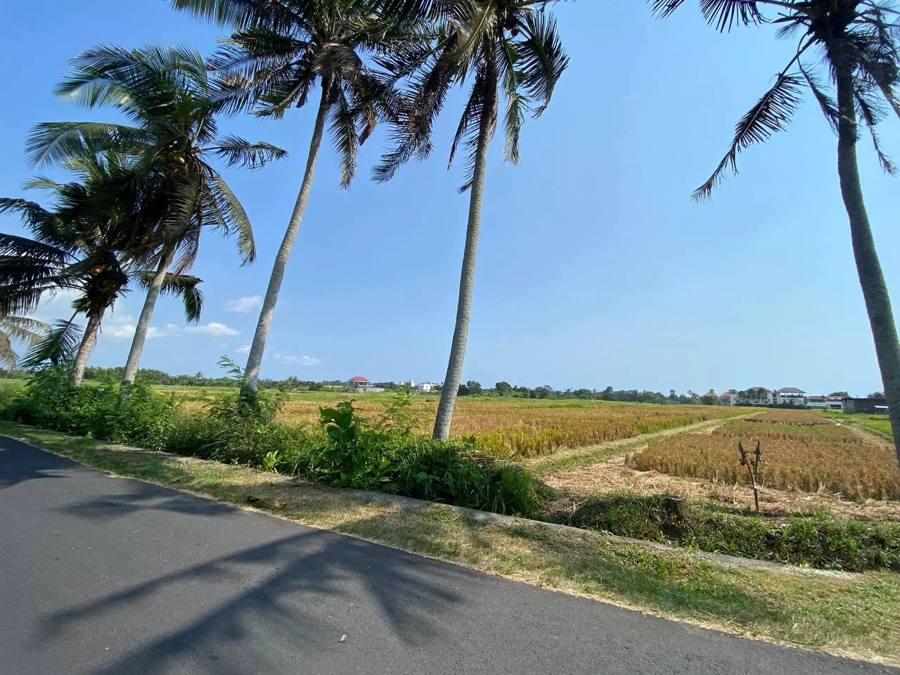 Land for sale in Tabanan