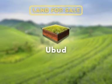 Land for sale in Ubud