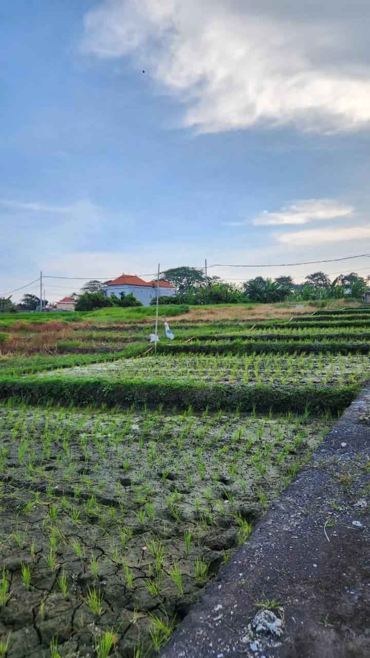 Land for sale in Seseh