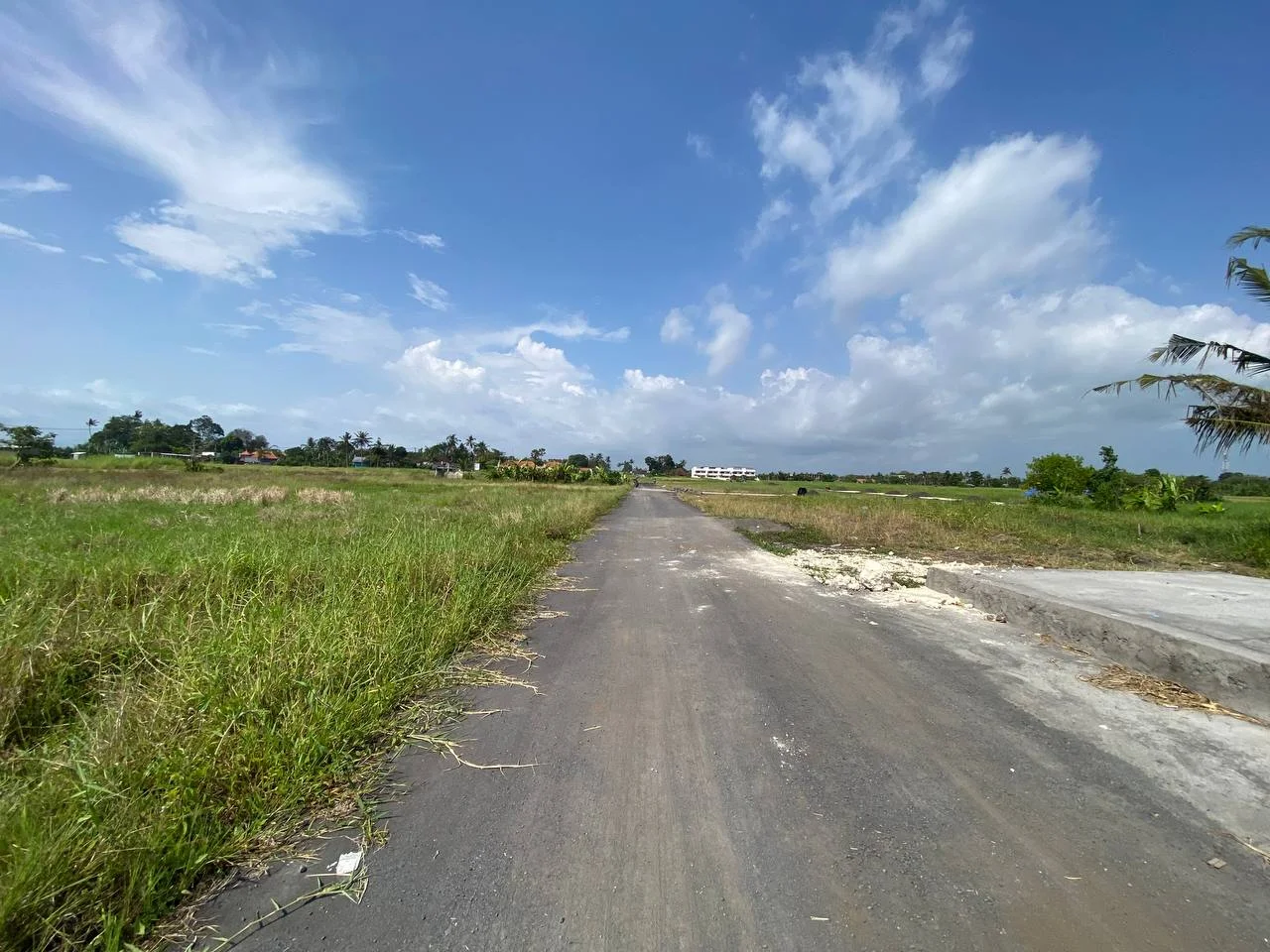 Expansive 3,500 Sqm Plot of Land in Development Area of Kedungu, Land for sale in Tabanan – photo 5 of 11