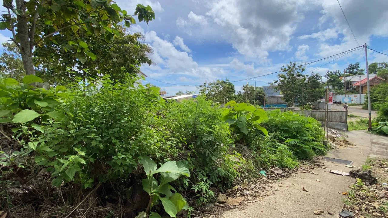 2800sqm-800sqm Land for Freehold in Bingin, Land for sale in Pecatu, Uluwatu – photo 6 of 13