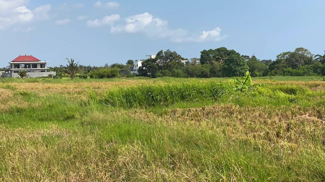 Expansive 3,500 Sqm Plot of Land in Development Area of Kedungu, Land for sale in Tabanan – photo 9 of 11