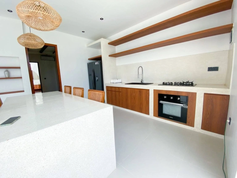 Monthly 2 Bedroom Villa in Padonan, Idr 32 Mill - Available 1 May 2026, 2-bed villa for rent in Canggu – photo 2 of 11