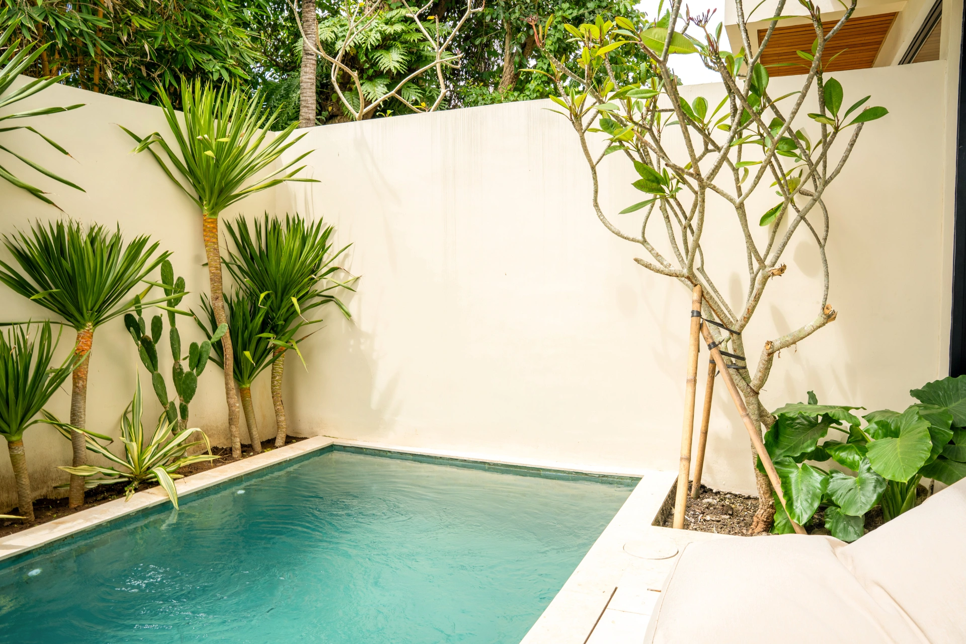 Modern Brand new 1BR Villa - Quite & spacious layout, 1-bed villa for rent in Pererenan – photo 2 of 13