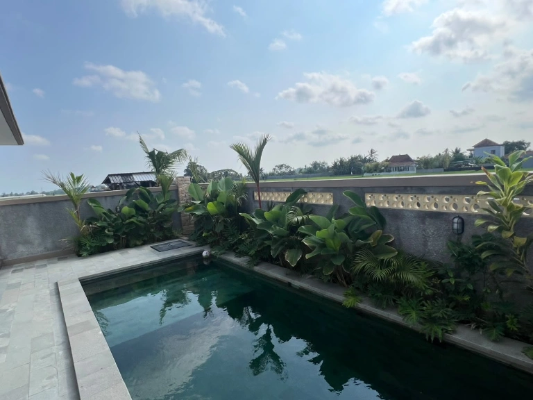 2 Bedroom Villa with ricefield view in Tabanan, 2-bed villa for rent in Tabanan – photo 2 of 15