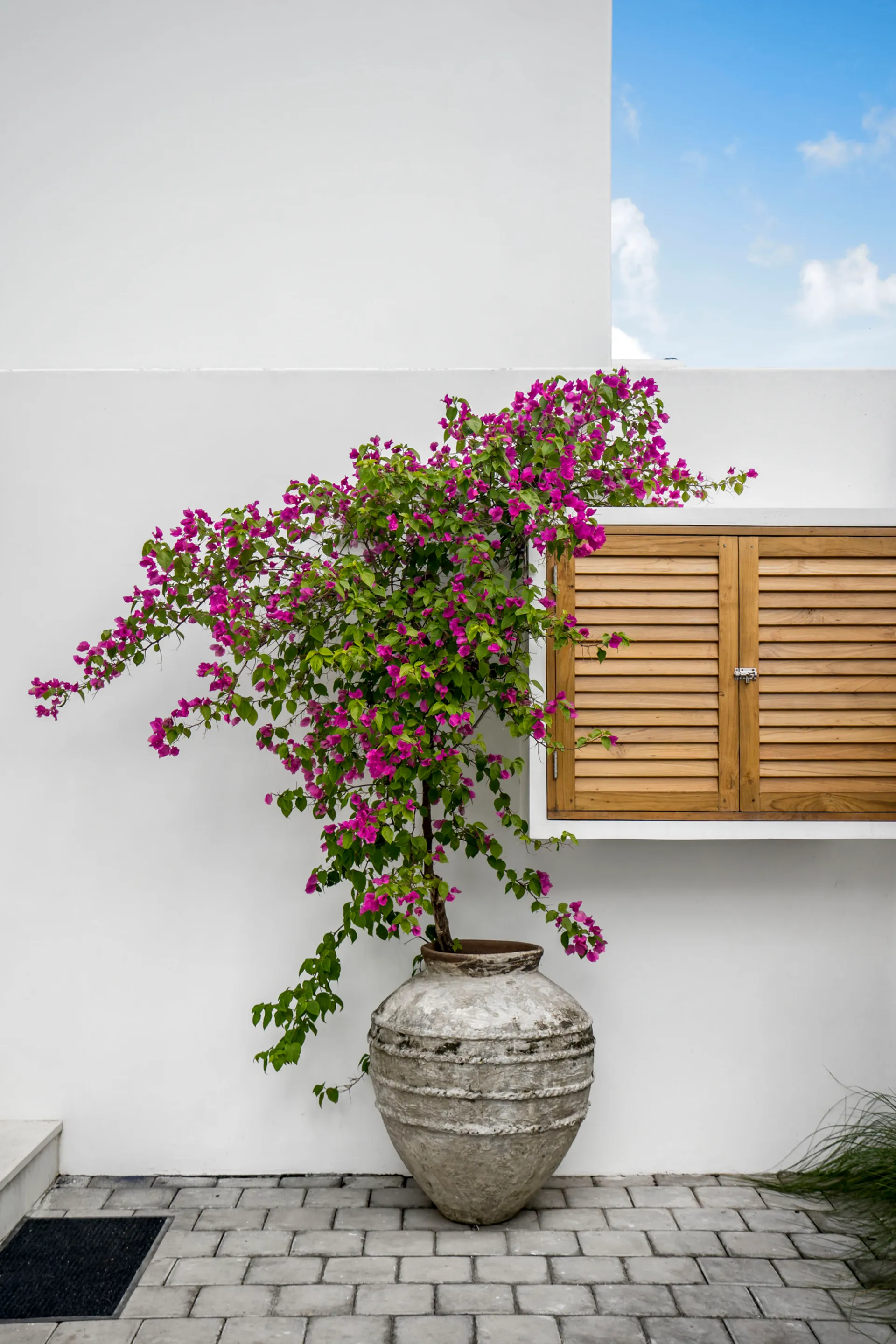 OASI 1 - Tropical Luxury 3 BR w/ Pool View, Bingin Beach, 3-bed villa for rent in Uluwatu – photo 6 of 15