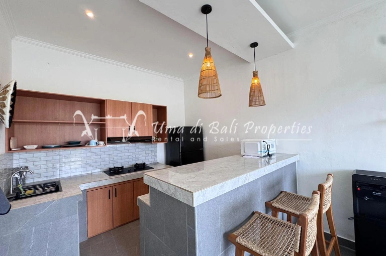 Brand New 2BR Villa for Rent at Canggu, 2-bed villa for rent in Canggu – photo 13 of 15
