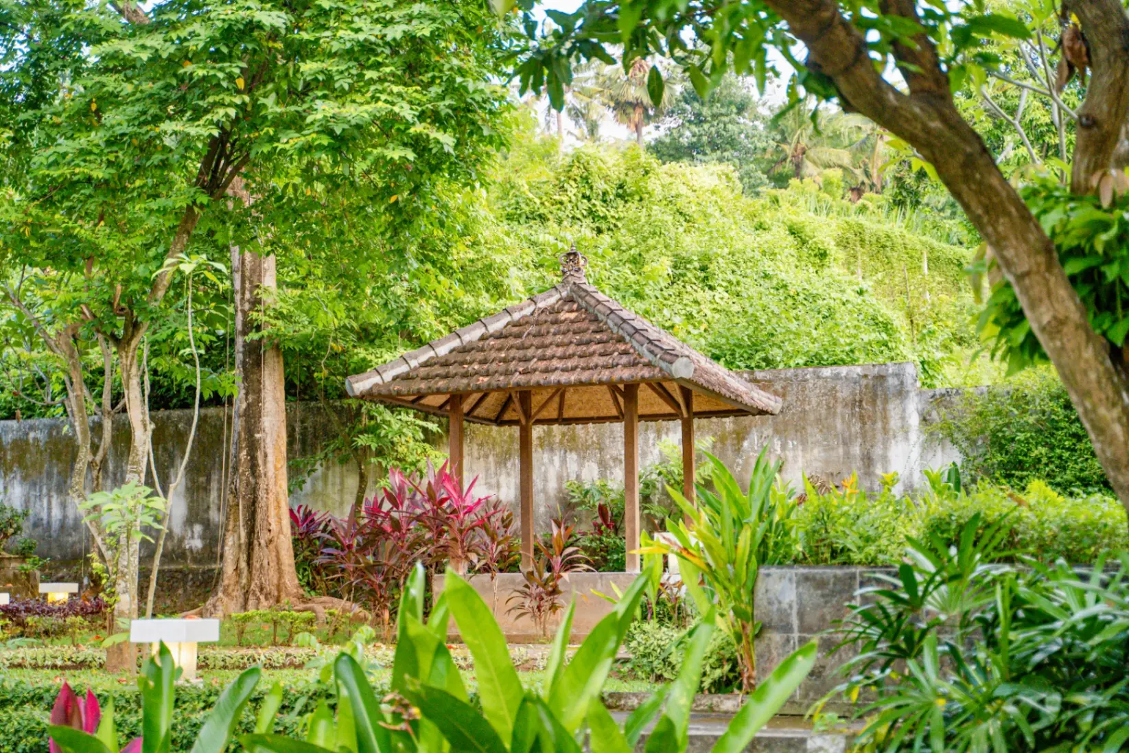 Topical Villa Lily , Lovina - North Bali, 4-bed villa for rent in North Bali – photo 9 of 15