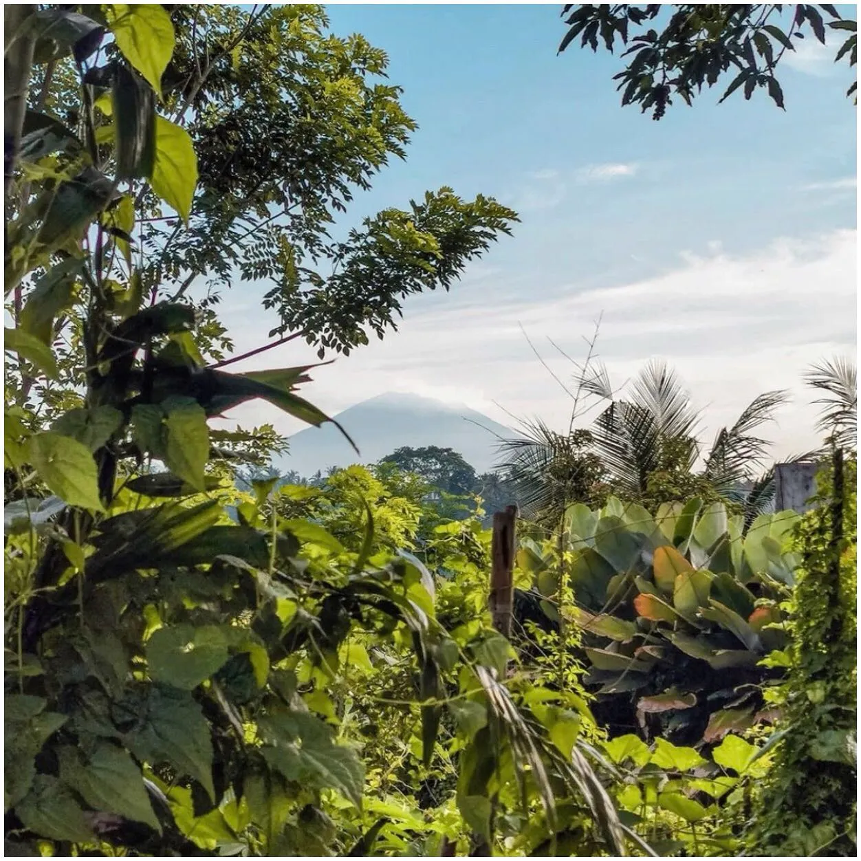 Mediterranean 1BR Apartment w/ Sunset Views and Pool Access, 1-bed villa for rent in Ubud – photo 12 of 15
