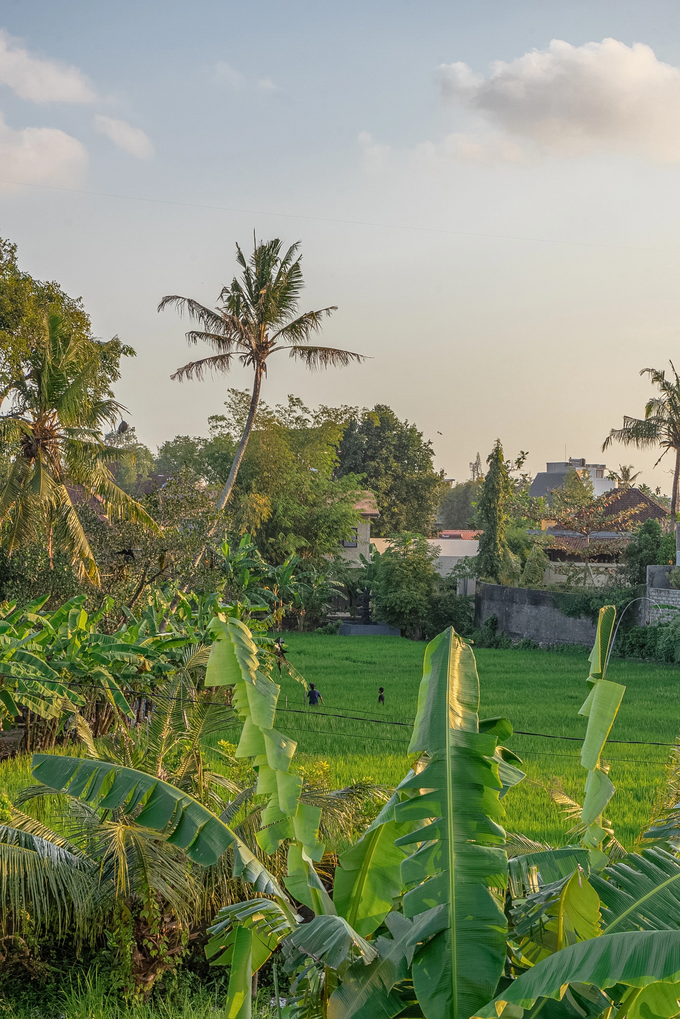 Casa Solera - 2 Bedroom Villa with Private Pool, 2-bed villa for rent in Canggu – photo 14 of 15