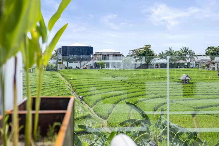 Luxury 3BR Villa with Rice Field Views in Prime Berawa, 3-bed villa for rent in Canggu – photo 2 of 15