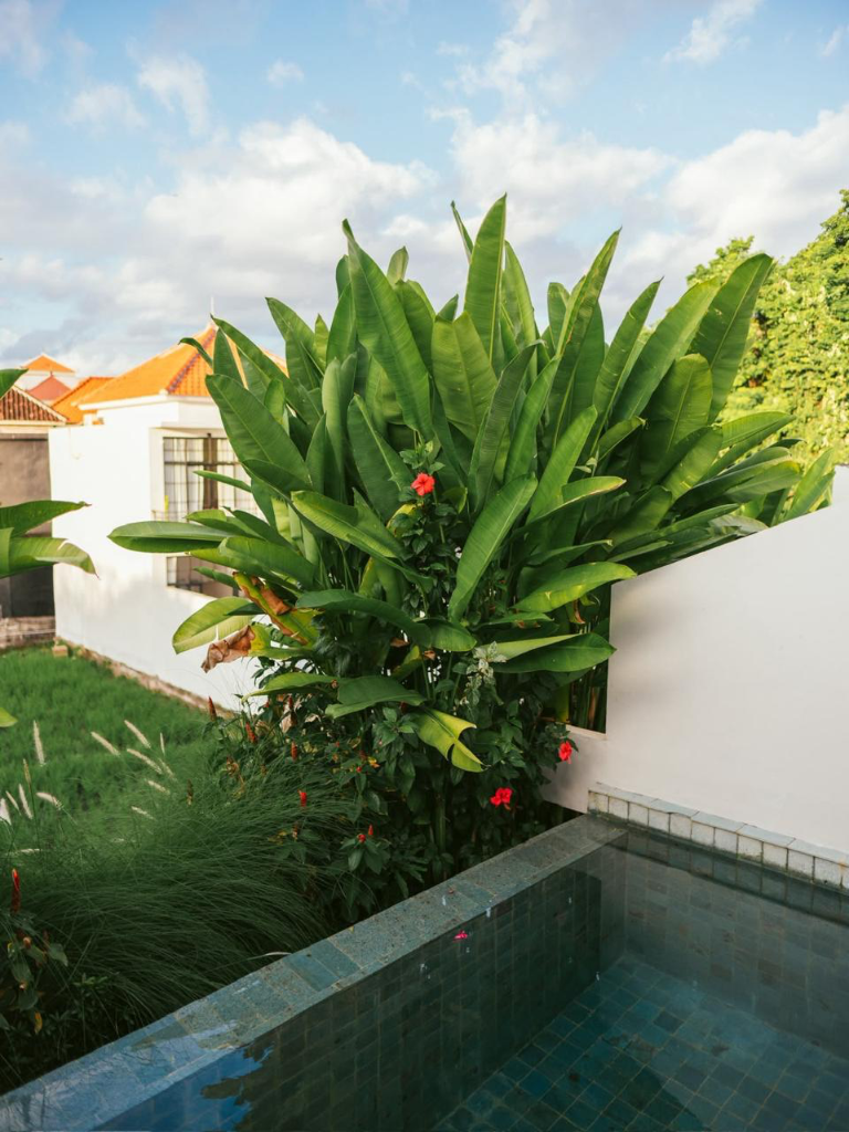 Stylish 1BR Loft Villa with Private Pool & Rice Terrace View Canggu, Bali, 1-bed villa for rent in Canggu – photo 3 of 15