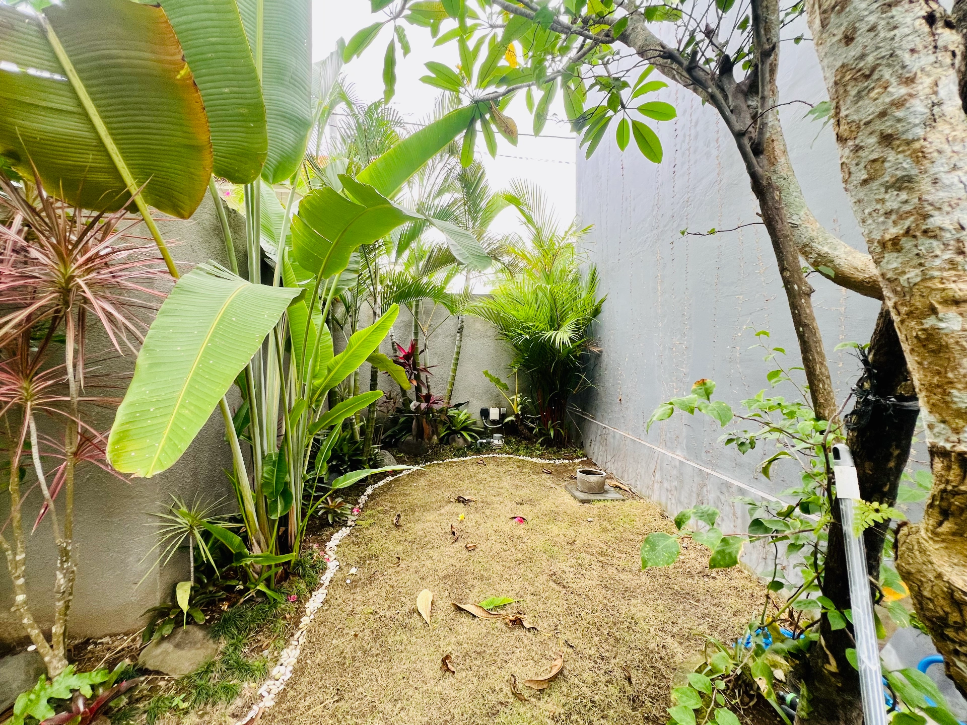 3 Bedroom Villa Walking Distance to Canggu Beach, 3-bed villa for rent in Canggu – photo 15 of 15