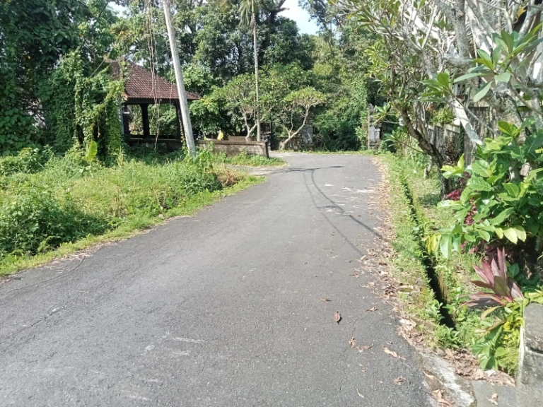 Spacious 4-5BR villa for rent in Tumbak Bayuh, Perenenan, Canggu, 5-bed villa for rent in Pererenan – photo 12 of 13