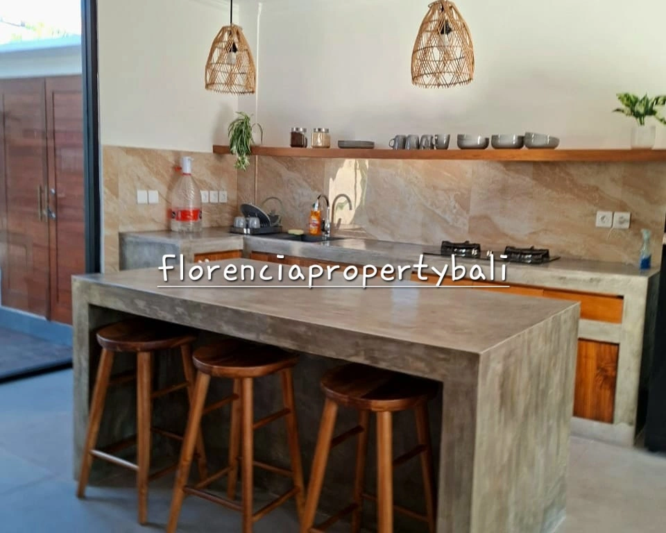Ubud Villa | Brand New | 2 Bedroom for Monthly Yearly Rental, 2-bed villa for rent in Ubud – photo 11 of 15