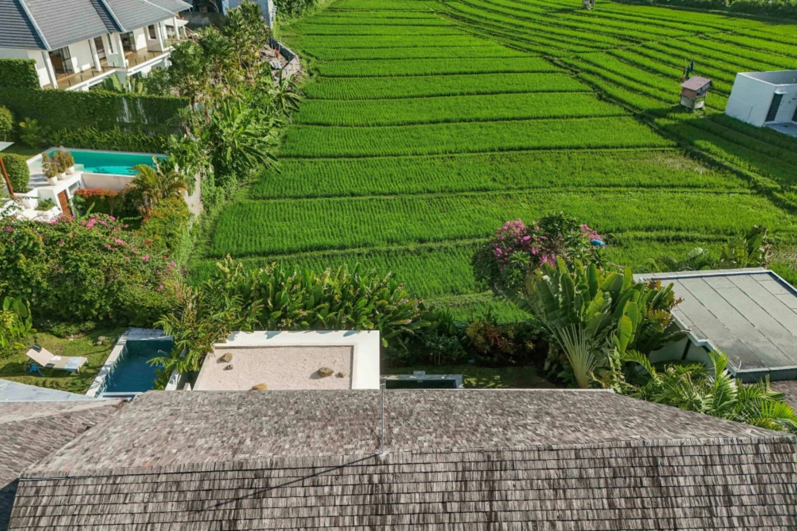 Contemporary Beautiful 3 Bedrooms Villa with Rice Fields View, 3-bed villa for rent in Canggu – photo 10 of 12