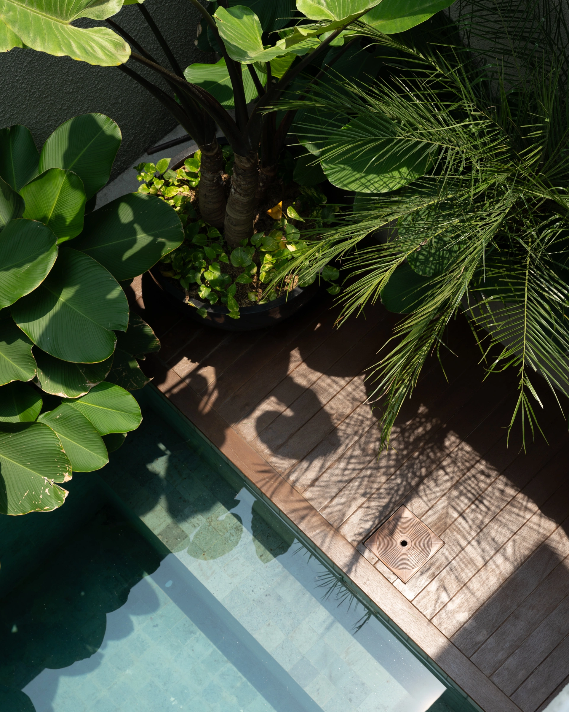 Kammora Villas - 3 Bedrooms Villa With Private Pool (Villa 1,2,3,4), 3-bed villa for rent in Canggu – photo 5 of 15
