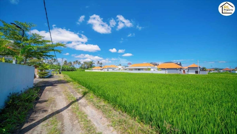 Villa For Rent 2 Bed In Seseh,Cemagi badung Bali, 2-bed villa for rent in Seseh – photo 11 of 15