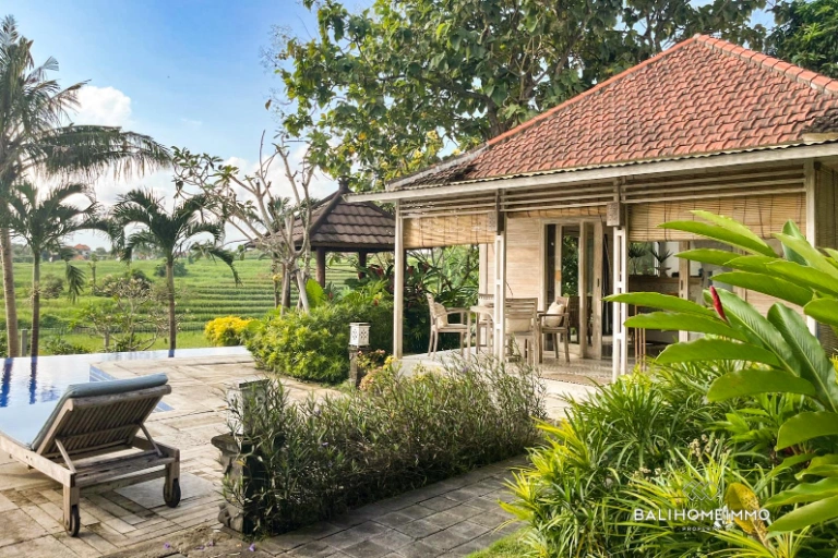 1 Bedroom Guest House with Ricefield View in North Canggu Bali, 1-bed villa for rent in Canggu – photo 2 of 9