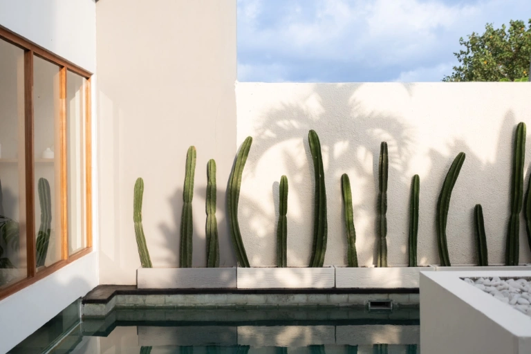 Modern Tropical 2 Bedroom Villa in Prime Berawa, 2-bed villa for rent in Canggu – photo 2 of 15