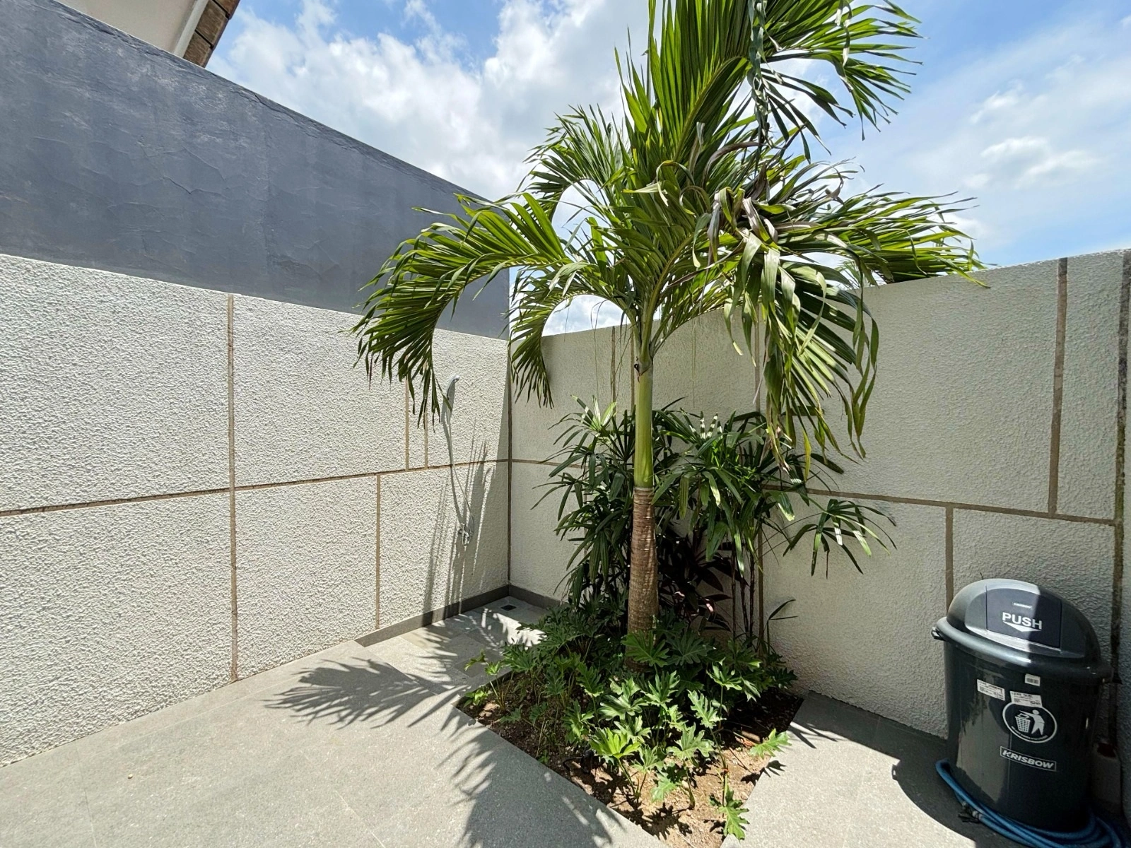 Villa For Rent 3 Bed In Canggu,Badung Bali, 3-bed villa for rent in Canggu – photo 4 of 4