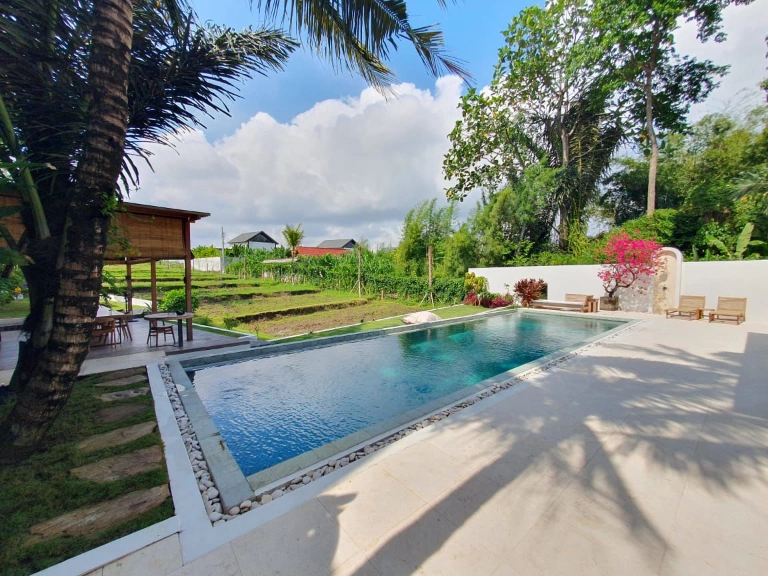 5BR Villa at Cepaka Munggu for Yearly Rent or Leasehold, 5-bed villa for rent in Canggu – photo 3 of 15