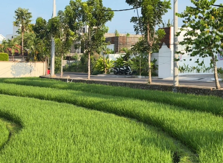 Villa For Rent 2 Bed In Canggu,Badung Bali, 2-bed villa for rent in Canggu – photo 4 of 15