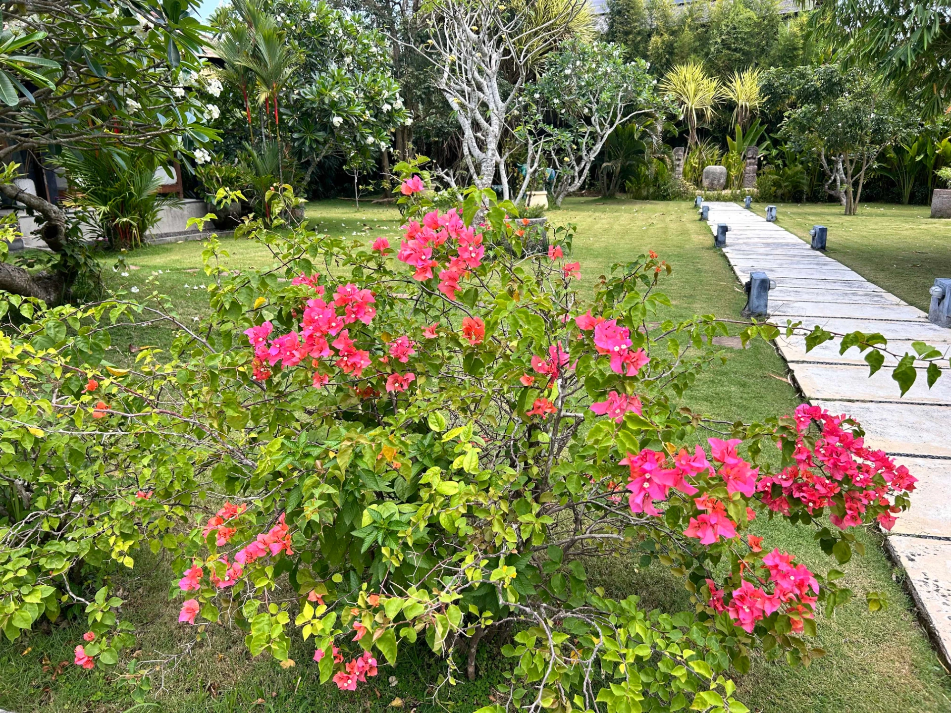 Beach house with lush garden, 2-bed villa for rent in Pererenan – photo 2 of 15
