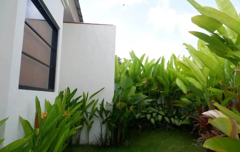 3BR Villa with Big Garden Padonan, Canggu, Quite Area, 3-bed villa for rent in Canggu – photo 14 of 15