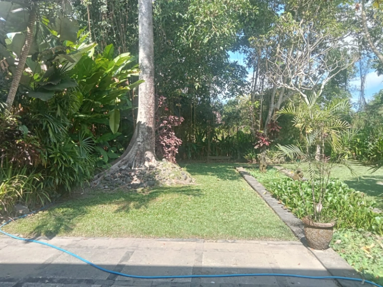 Spacious 4-5BR villa for rent in Tumbak Bayuh, Perenenan, Canggu, 5-bed villa for rent in Pererenan – photo 3 of 13