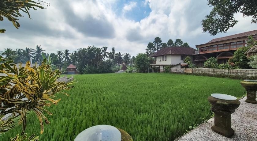 Villa For Rent 3 Bed In Ubud ,Gianyar ,Bali, 3-bed villa for rent in Ubud – photo 6 of 15