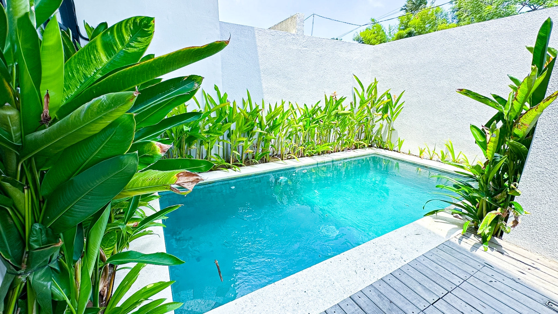 Two Bedroom Smart Townhouse, Berawa Location, 2-bed villa for rent in Canggu – photo 11 of 15