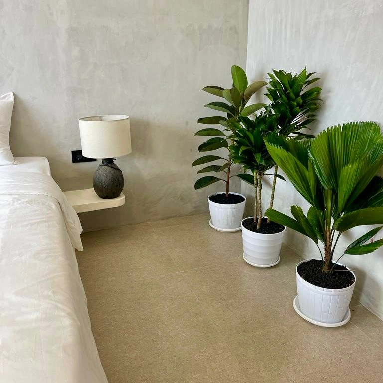 1 Bedroom 1 Bathroom House in Canggu Padonan 2 minutes to BAKED., 1-bed villa for rent in Canggu – photo 6 of 10