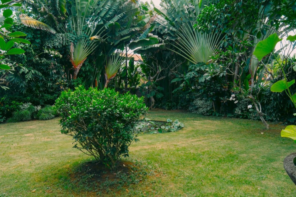 4-Bedroom Villa with Lush Garden Sanctuary in Pererenan, 4-bed villa for rent in Pererenan – photo 12 of 15