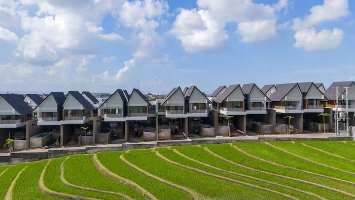 Luxury 3 Bedroom Private Pool Villa in Canggu, 3-bed villa for rent in Canggu – photo 10 of 15