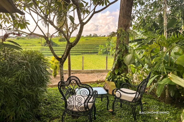 1 Bedroom Guest House with Ricefield View in North Canggu Bali, 1-bed villa for rent in Canggu – photo 9 of 9
