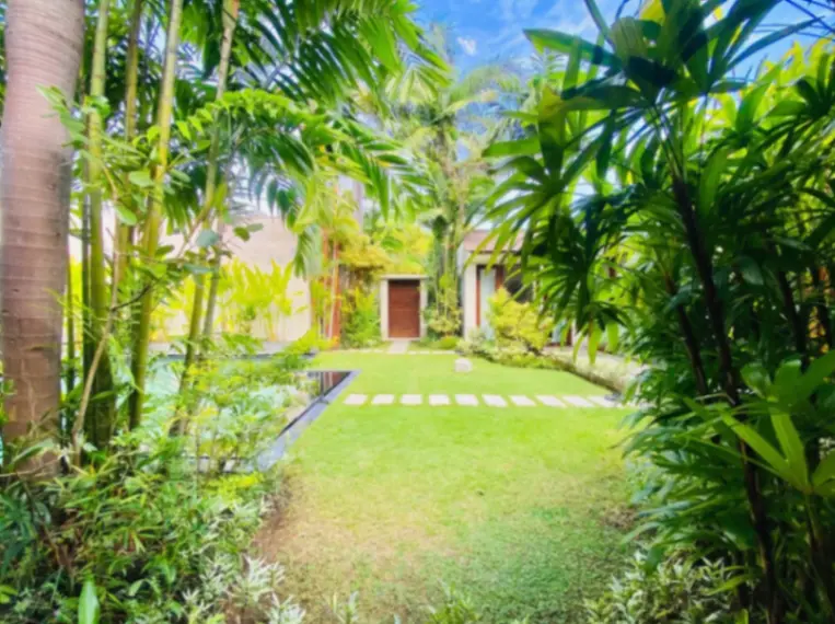 3 Bedrooms Brand New Villa in Berawa, 3-bed villa for rent in Canggu – photo 2 of 15