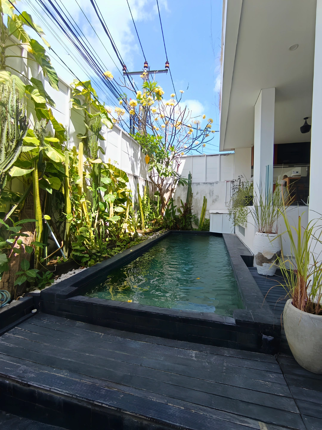 Yearly Rent 2 Bedrooms Villa in Seminyak, 2-bed villa for rent in Seminyak – photo 2 of 15