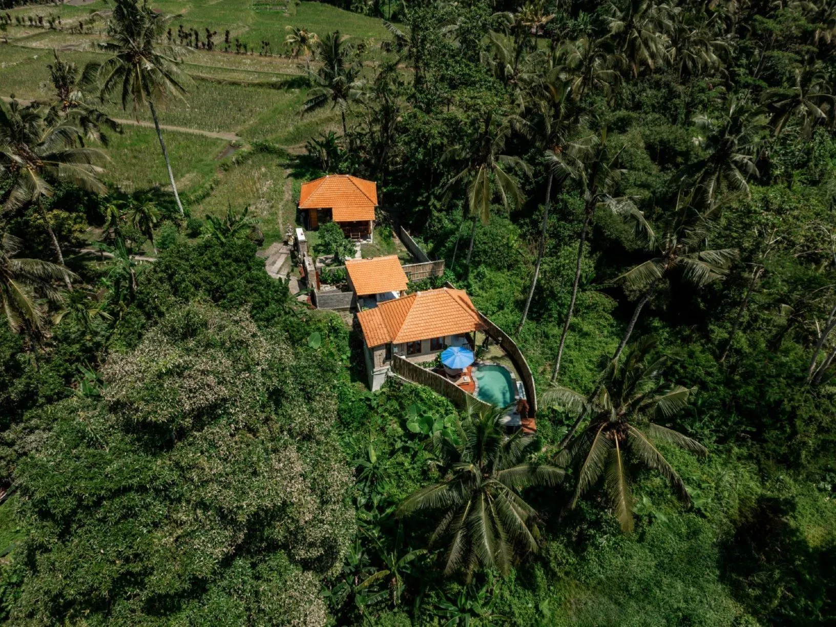 Villa Kuma Ubud - 1 Bedroom Pool Villa, 1-bed villa for rent in Ubud – photo 6 of 15