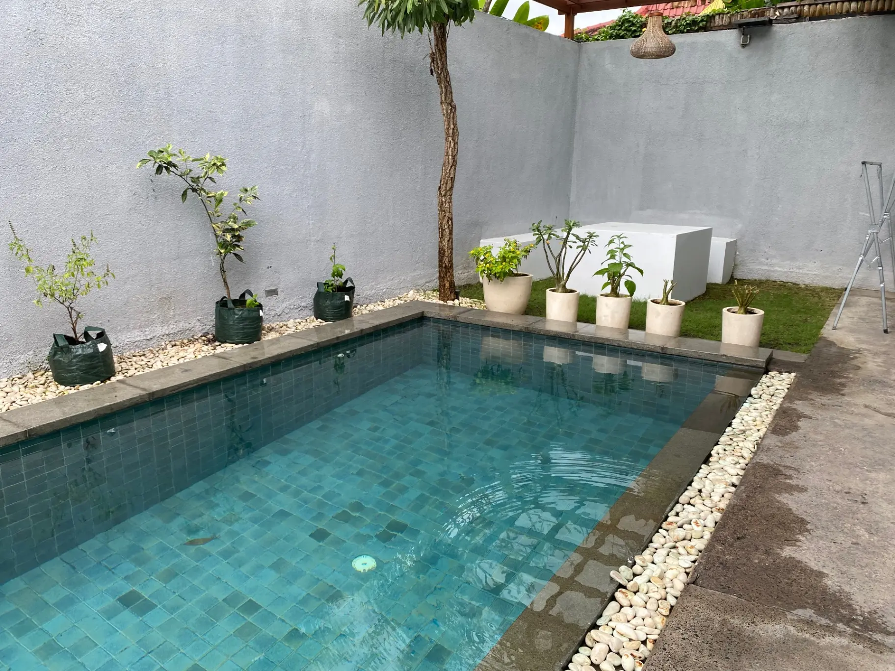 Villa MK House – 4-Bedroom Villa + 1 Office Room with Homey Vibes in Kedungu!!, 4-bed villa for rent in Tabanan – photo 3 of 15